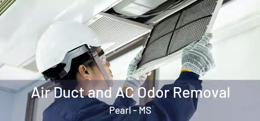  Air Duct and AC Odor Removal Pearl - MS