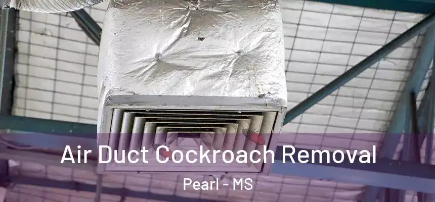  Air Duct Cockroach Removal Pearl - MS