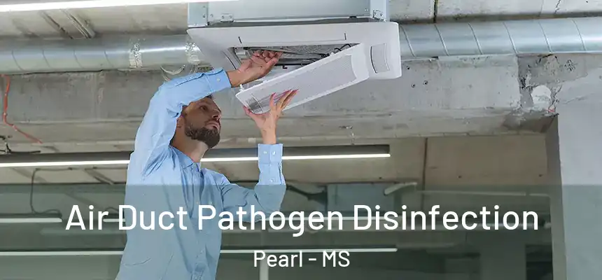 Air Duct Pathogen Disinfection Pearl - MS
