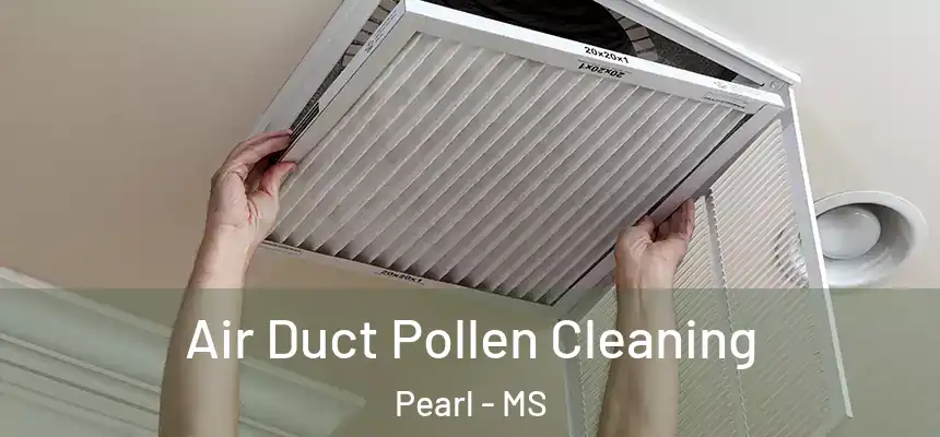  Air Duct Pollen Cleaning Pearl - MS