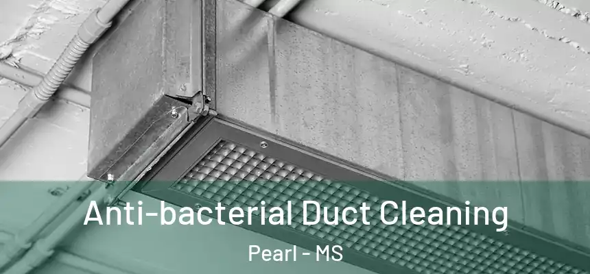  Anti-bacterial Duct Cleaning Pearl - MS