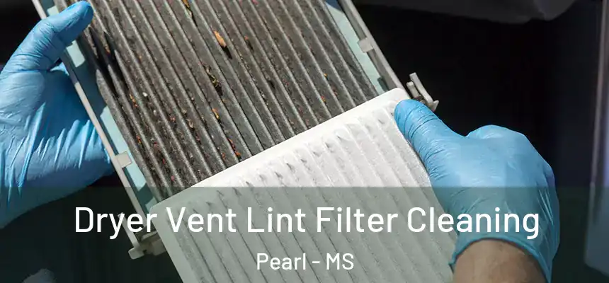 Dryer Vent Lint Filter Cleaning Pearl - MS