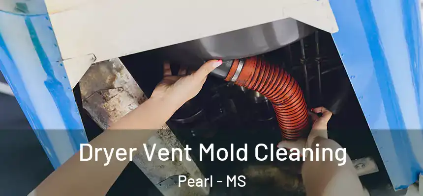 Dryer Vent Mold Cleaning Pearl - MS