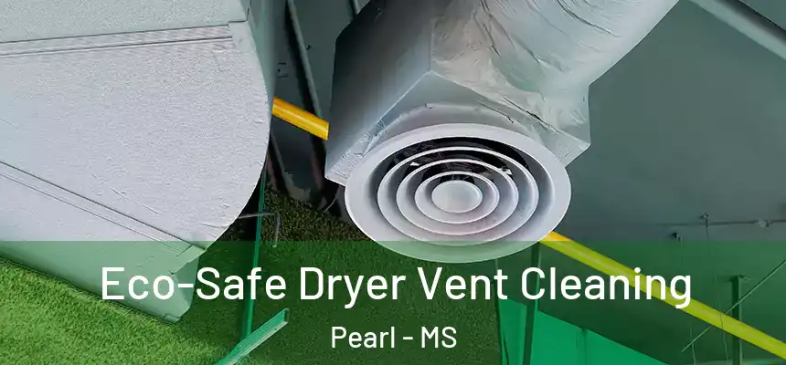 Eco-Safe Dryer Vent Cleaning Pearl - MS