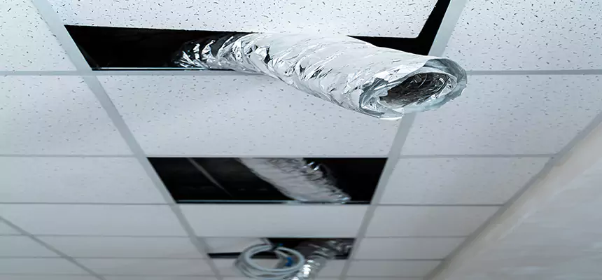 Affordable HVAC Sanitizing After Pest Removal in Pearl