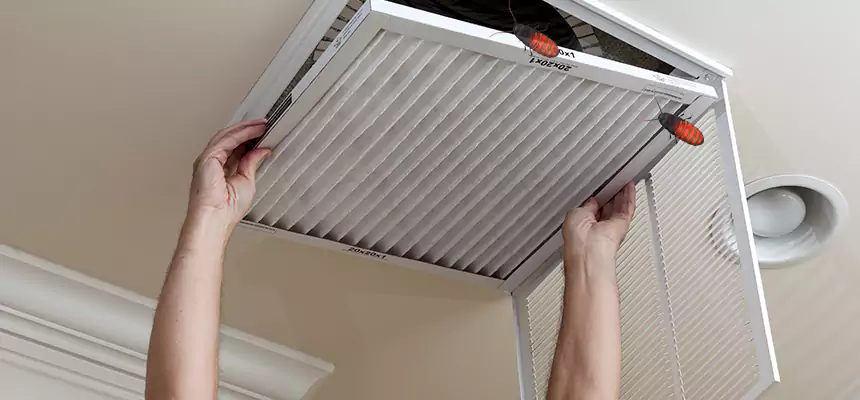 Our Insect Removal from Air Ducts Services in Pearl, MS