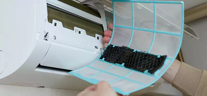 Gentle Ductwork Odor-Control Pet Dander Duct Cleaning in Pearl, MS