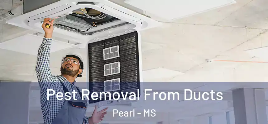  Pest Removal From Ducts Pearl - MS