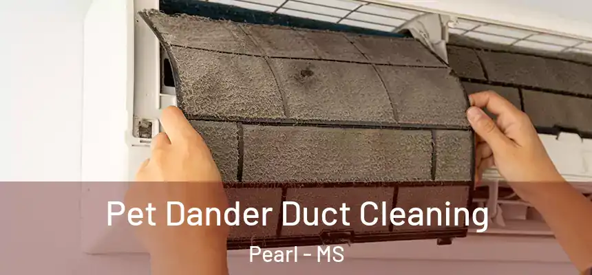 Pet Dander Duct Cleaning Pearl - MS