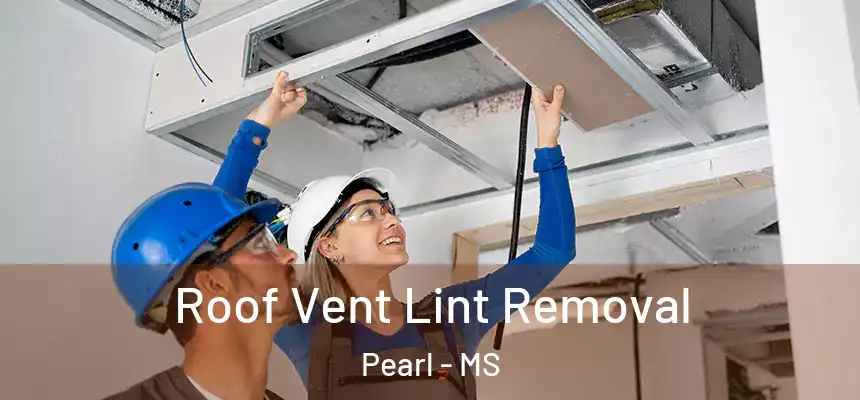 Roof Vent Lint Removal Pearl - MS