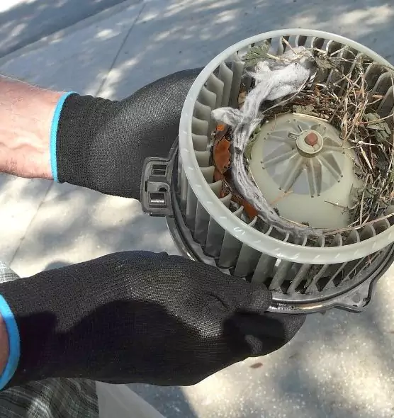 About Air Duct Mice Removal in Pearl, MS