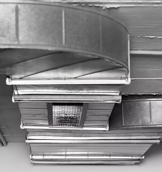 Professional Air Duct Pet Hair Removal in Pearl, MS