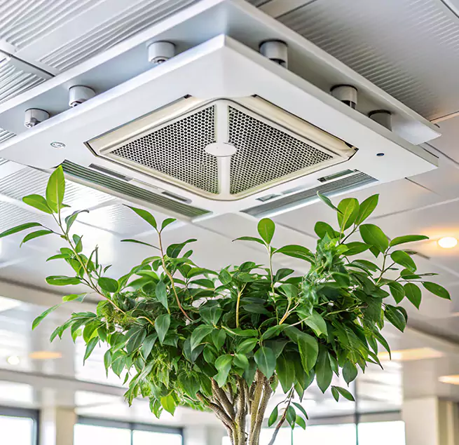 Why Homeowners & Businesses Trust Us in Pearl, MS