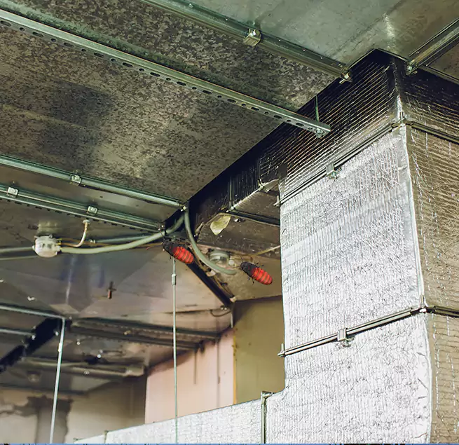 Why Homeowners & Businesses Trust Us Pearl, MS?