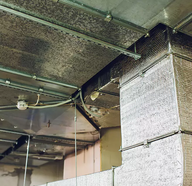 Why Homeowners & Businesses Trust Us in Pearl, MS?